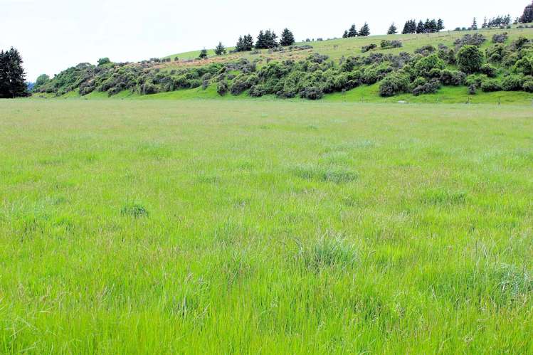 105 Lynwood Road Hillside_18