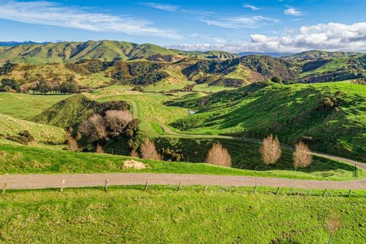 134 Bowen Road Eketahuna_2