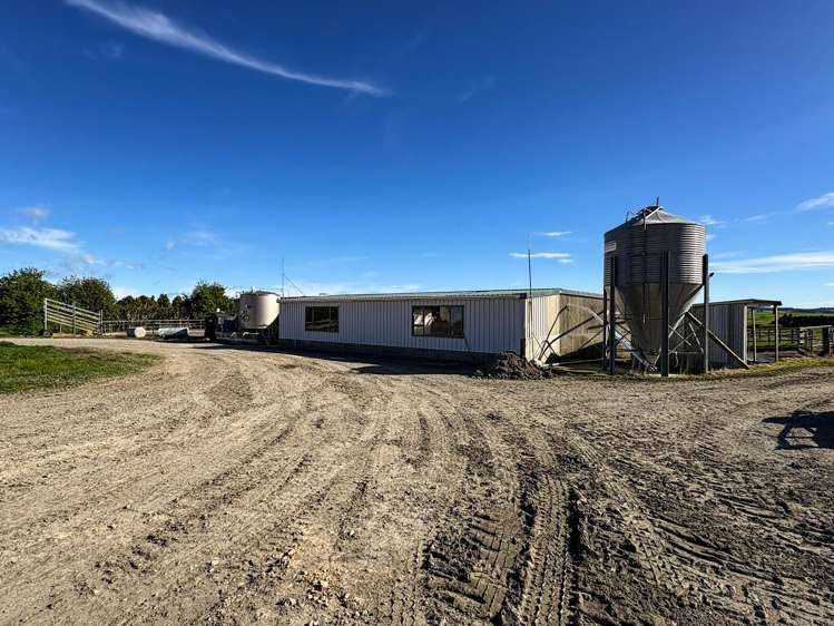 539. Mataura Island Fortrose Road Pine Bush_19