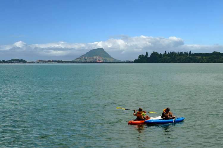 394 Maungatapu Road Maungatapu_22