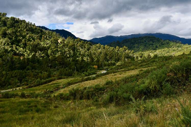 40Ha Block State Highway 67 Mokihinui_21