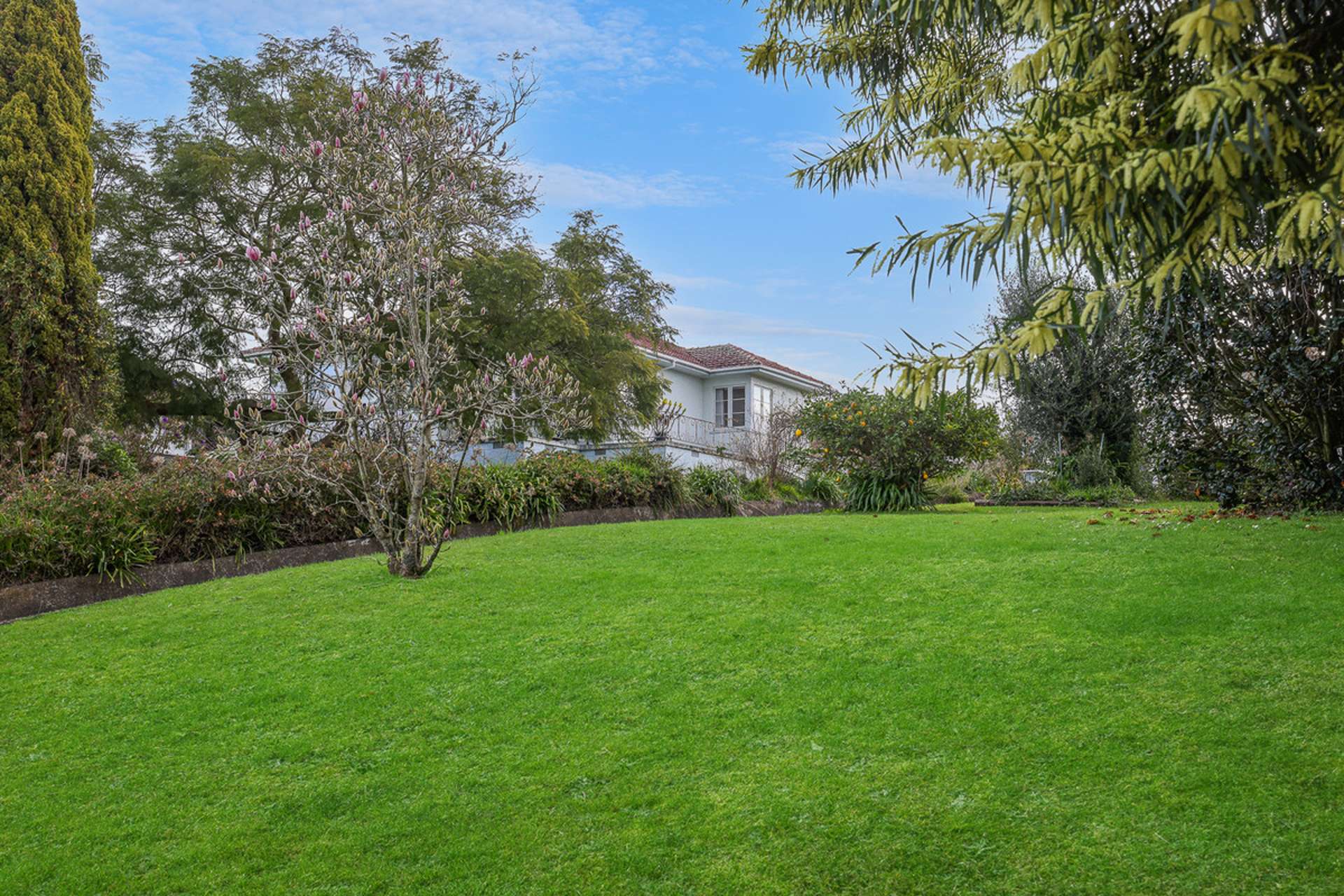 652 Pakura Street Te Awamutu_0