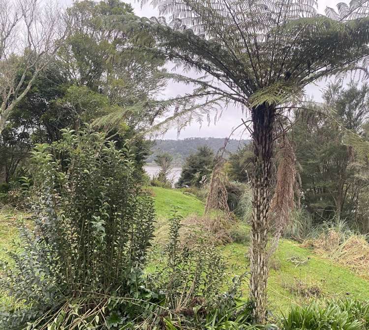 44 Onewhero-Tuakau Bridge Road Onewhero_5