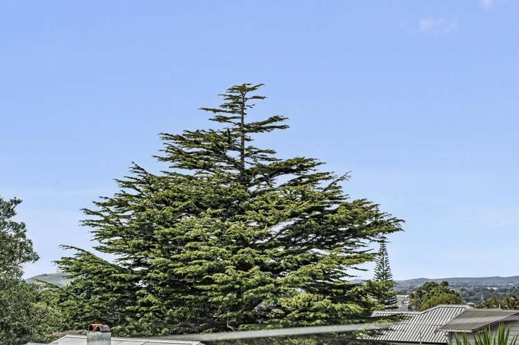55B and 55C Tawa Road One Tree Hill_18