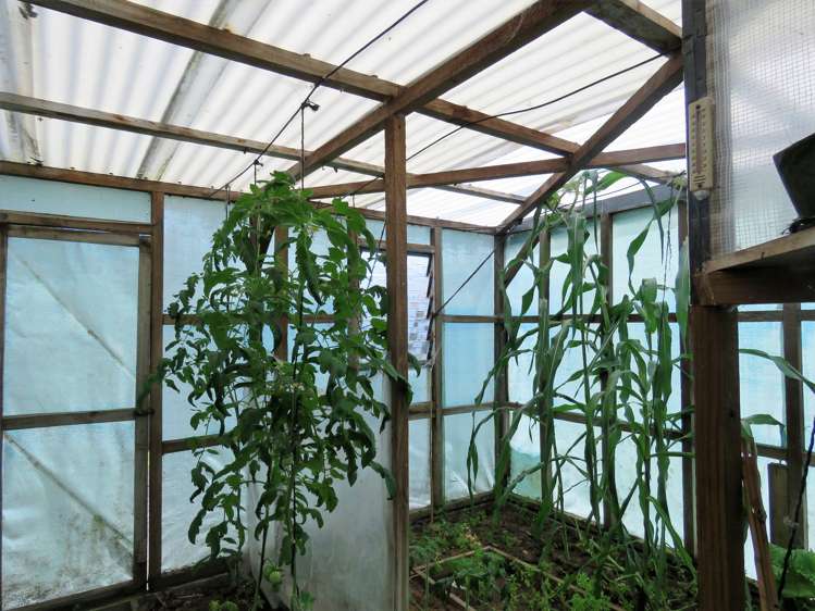 29 Fonblanque Street Westport_17