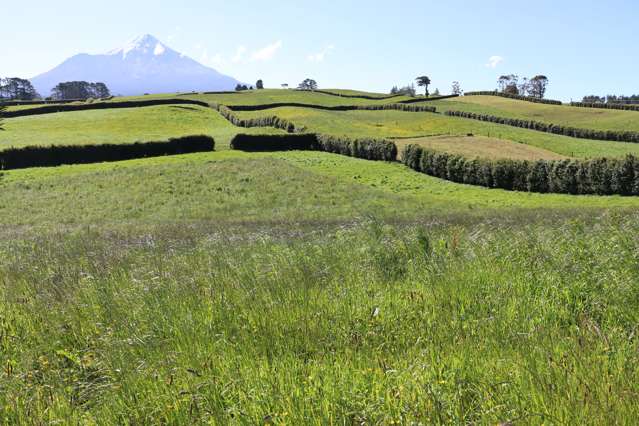 ATTRACTIVE PEMBROKE ROAD GRAZING PROPERTY