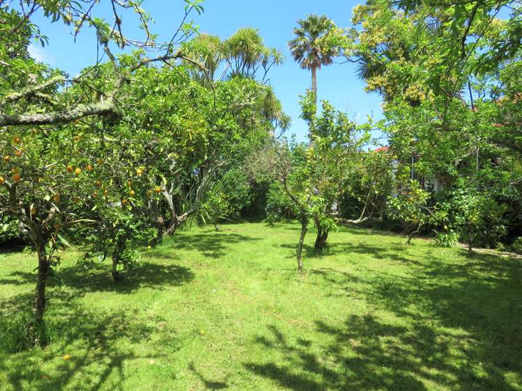 112 Colville Road Dargaville_24