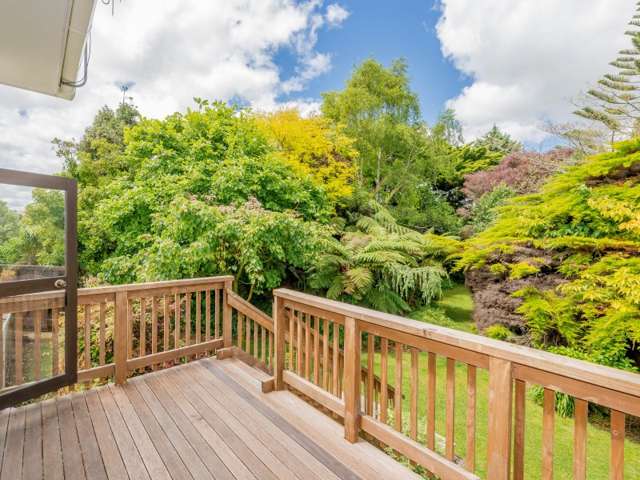 7 Dee Street Levin_2