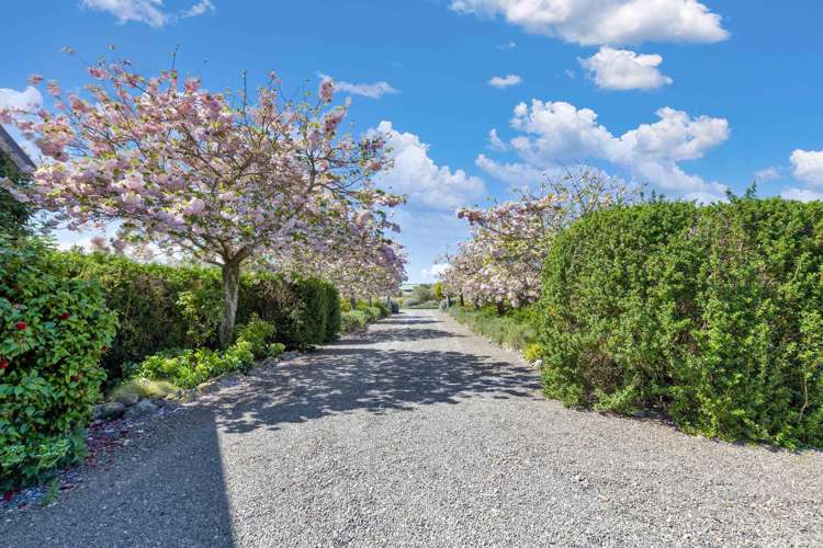 325 Georges Road Amberley_33