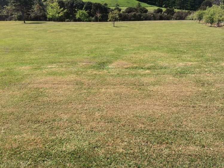 58 Lynton Masters Lane Coatesville_29