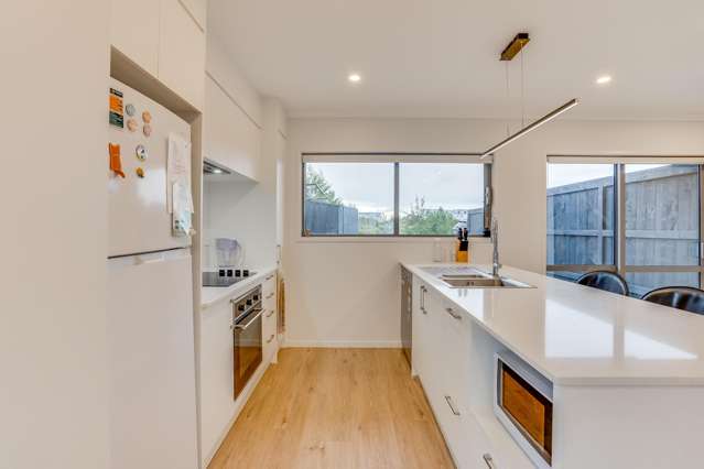 29 Green Bamboo Road Hobsonville_2