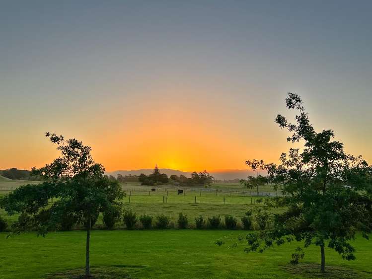 Lot 2 & 3/139 Te Maire Road Kahutara_1