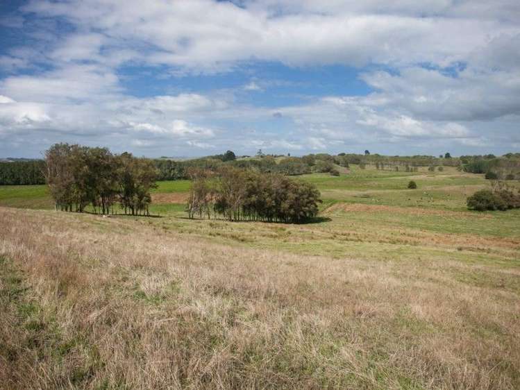 137 Sanson Road Ruawaro_43