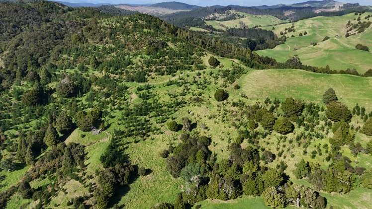 30C Te Ranga Road Kaeo_29