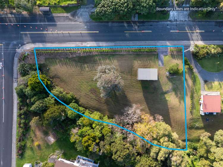 61 Hauraki Road_1
