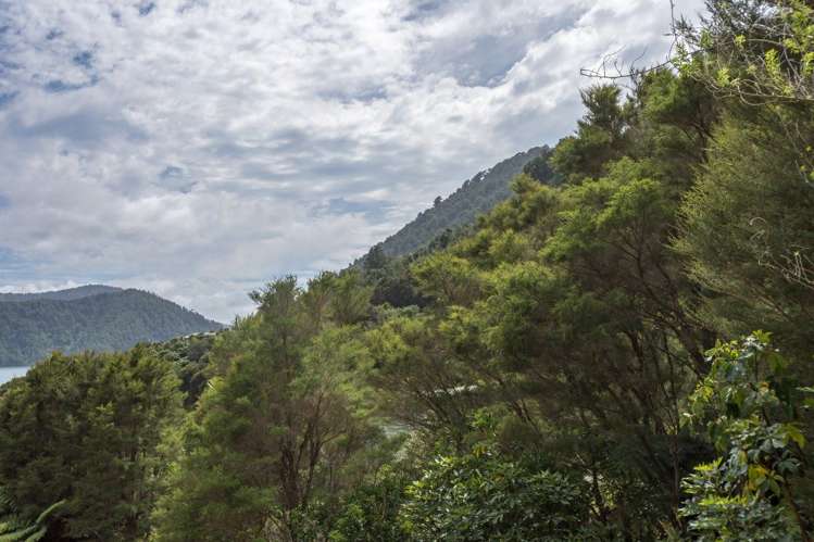 11 Matai Street Duncan Bay_21