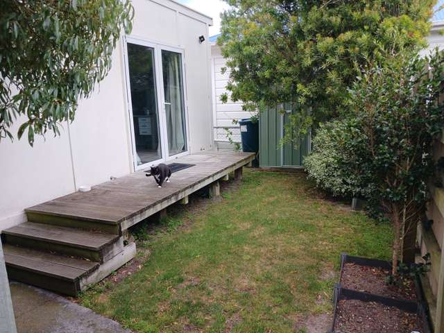 76B Russell Terrace Berhampore_1