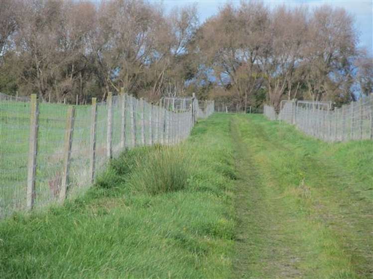 162 Oroua Road Kairanga_3