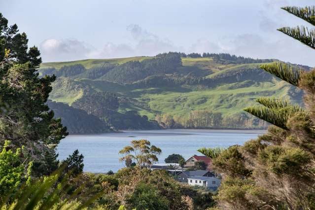 14 Main Road Raglan_1