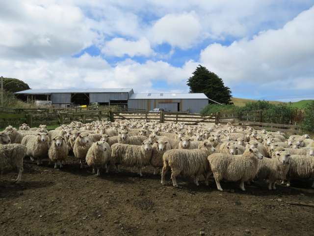 15 Bell Road Taumarunui_1