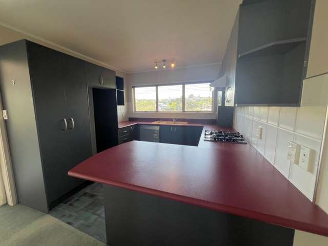 43 John Davis Road Mt Roskill_1