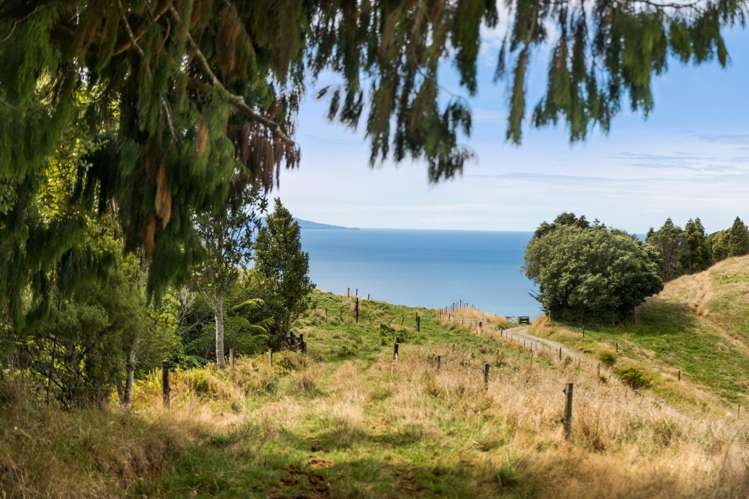 269 Ngatitangata Road Waihi_31