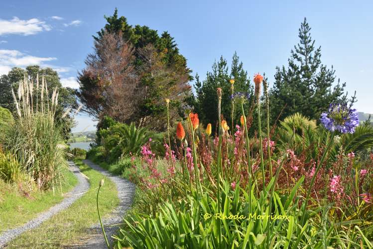 224A Petley Road Paparoa_38