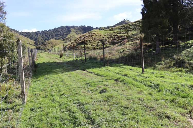 4869 Ohura Road Pohokura_28