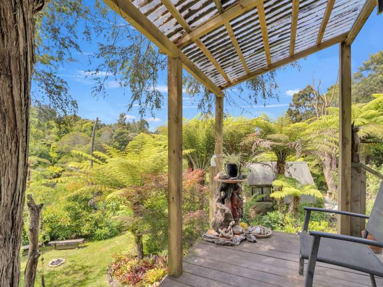 Ohiwa Loop Road Waiotahi_29