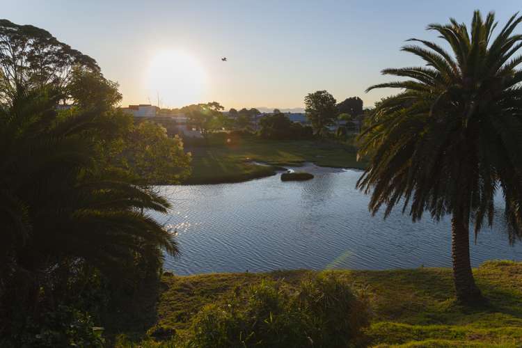 46 Stout Street Whataupoko_12