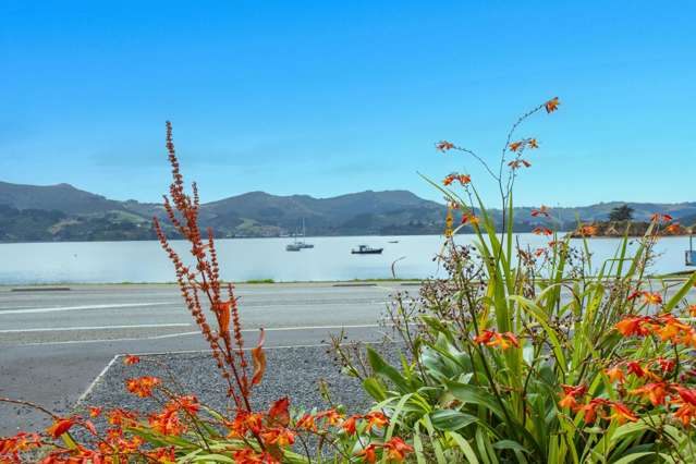 61 Greig Street Broad Bay_1