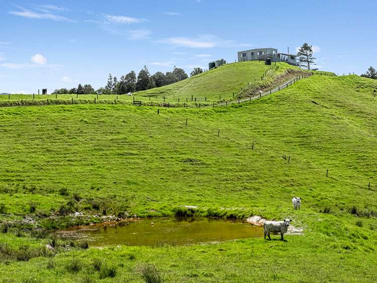 54 Simpson Road Kaitaia_1