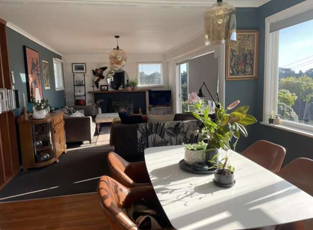 23 Parsons Street Vogeltown_1
