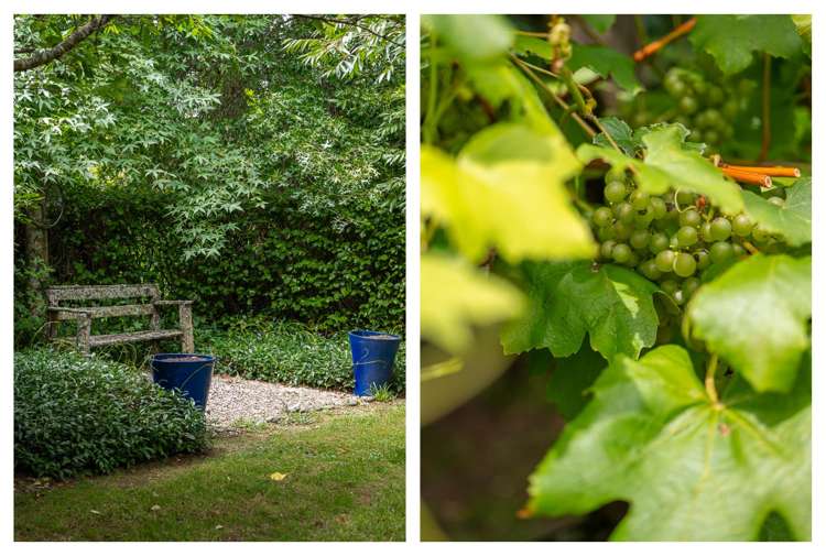 116 Tuapiro Road Tahawai_43