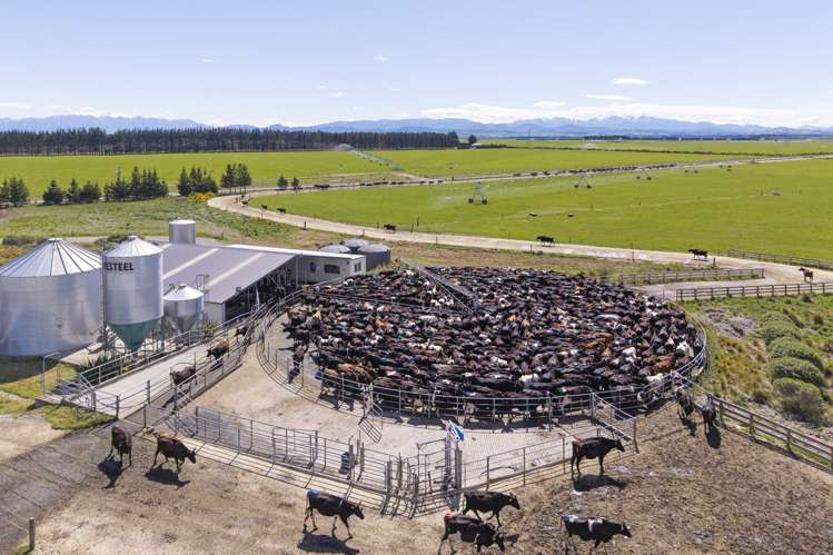 716 Mitchells Road Bankside_10