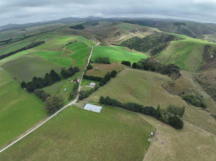 58 McElwee Road, Meadowbanki Palmerston_9