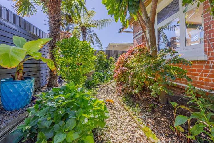 9 Avenue Road Greenmeadows_19