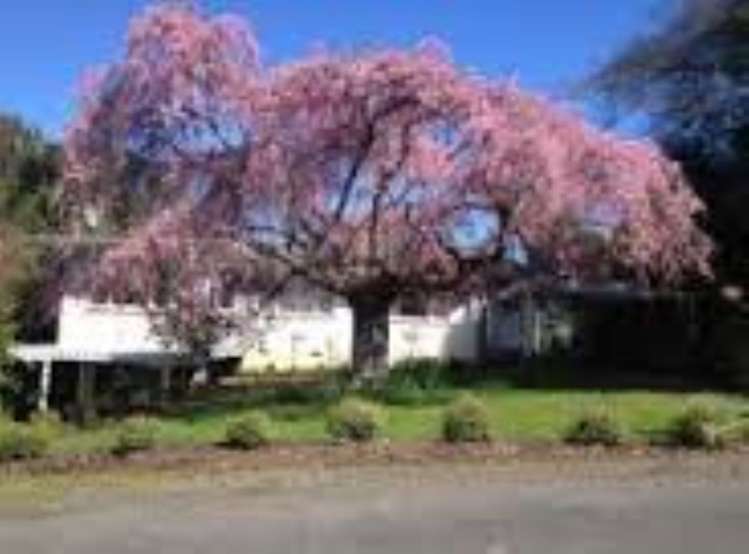 5 Titoki Street Masterton_0