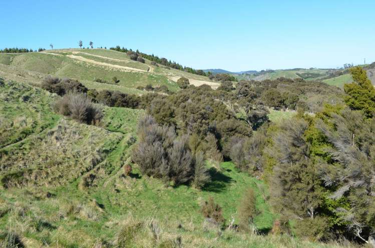 Mangapurupuru Road Bideford_0