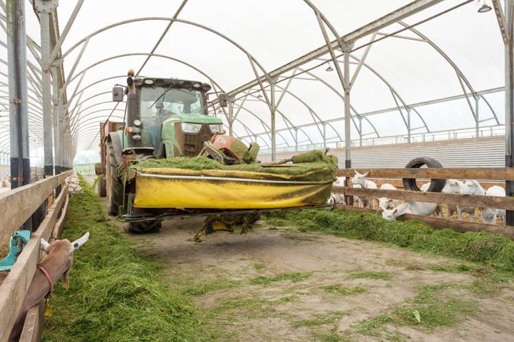 263 Paratu Road, Walton Matamata_25