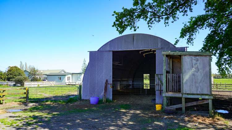 393 State Highway 25 Waitakaruru_5