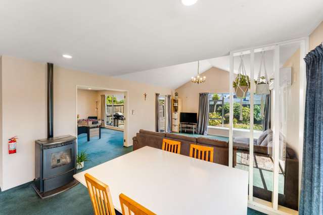 15 Horton Street Pleasant Point_4