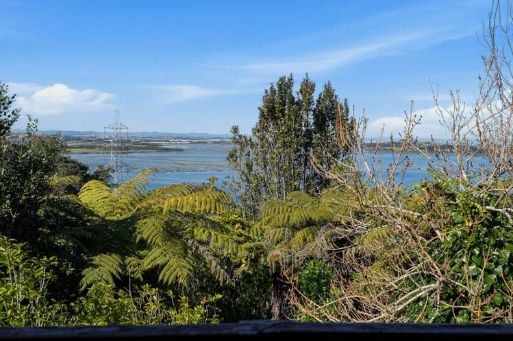 4a Cape Horn Road Hillsborough_29