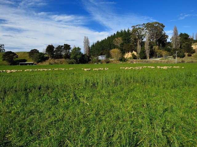 2118 Matawai Road Te Karaka_4