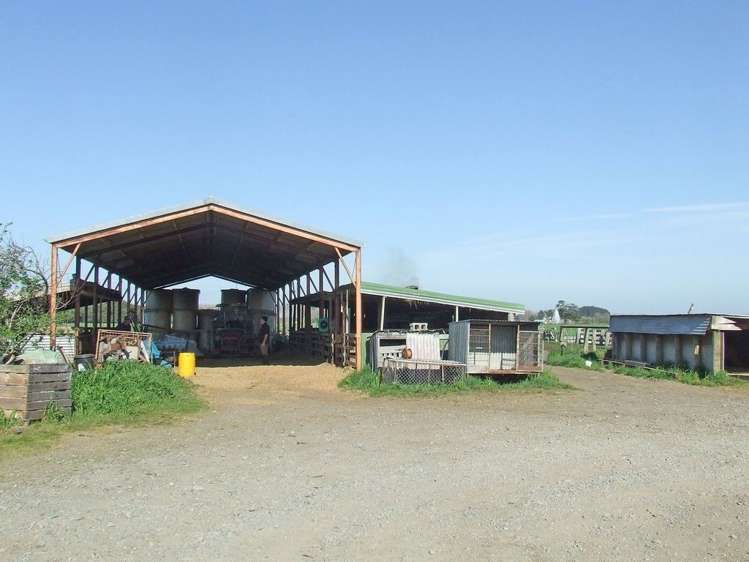 306 Gillespies Line Kairanga_12