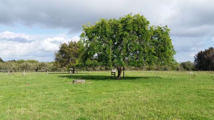 460 Waihoehoe Road Drury_3