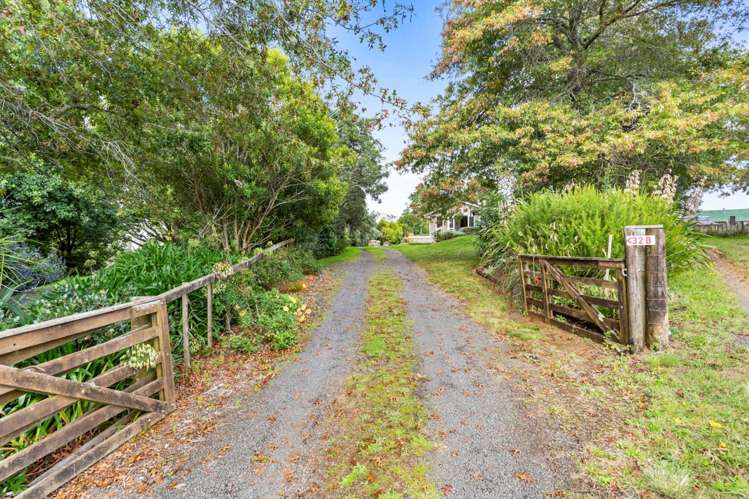 32b Punga Punga Road Pukekawa_10