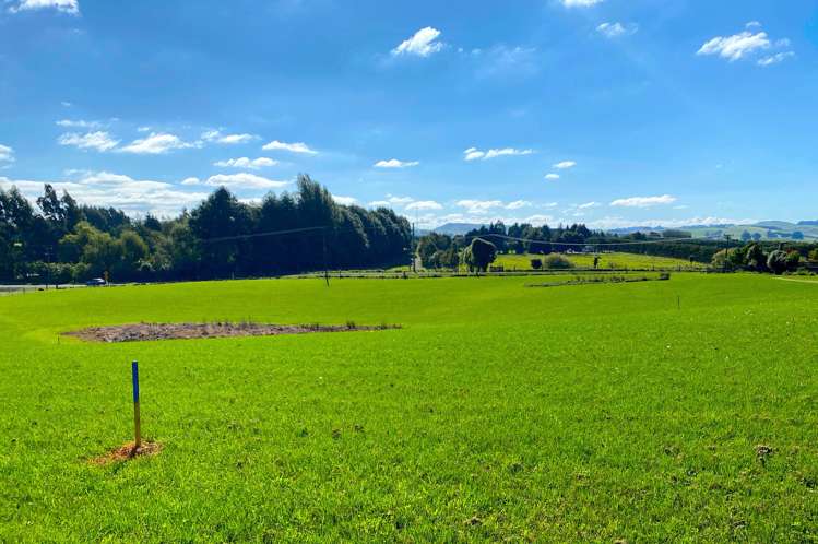 243 Homestead Road Weston_1