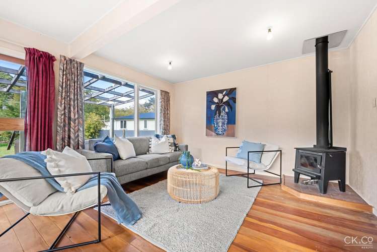 63f Black Beech Street Birchville_2