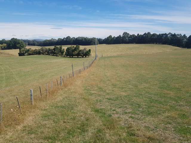 293 Freezing Works Road Balclutha_4